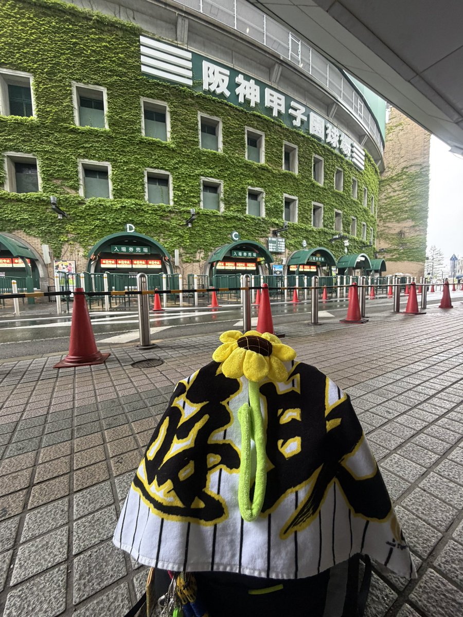 Naokolovesaku's tweet photo. 虎フェス🐯めちゃ楽しみにしてたんだけどなぁ〜
残念😢また遊助出てくれるかなぁ〜
これから　みんなで残念会しまーす🐯

#虎フェス　#雨天中止　#遊助 https://t.co/HoeR7ULZJG
