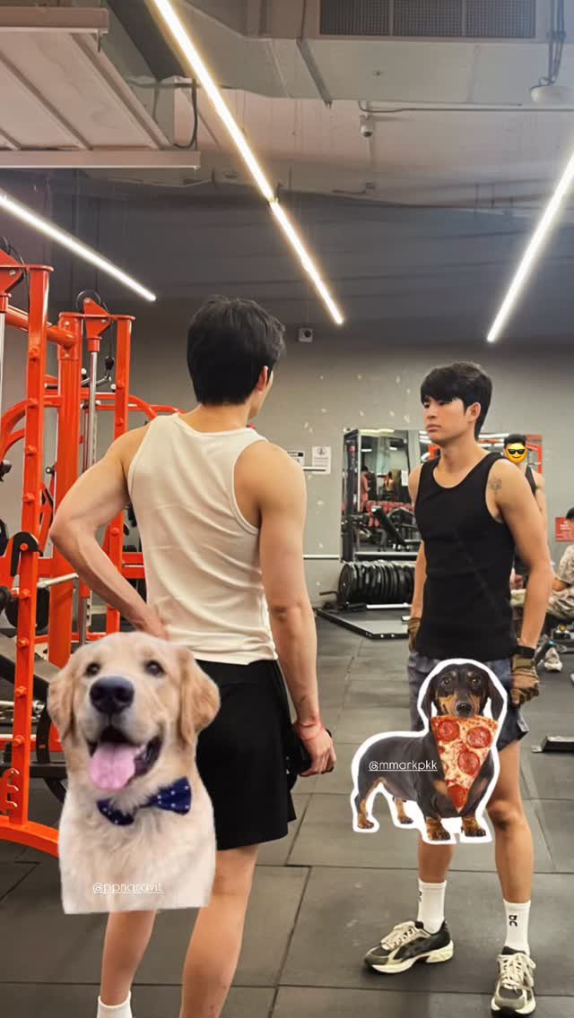 _ppspace's tweet photo. arm_wc

ไปฟิตเนสค้าบบบ 💪🏻

#ppnaravit @ppnaravit https://t.co/90QkEFuL77