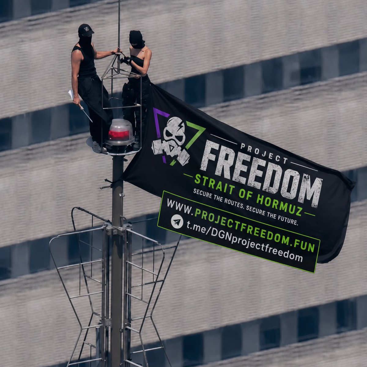 DGN Project FREEDOM tweet media