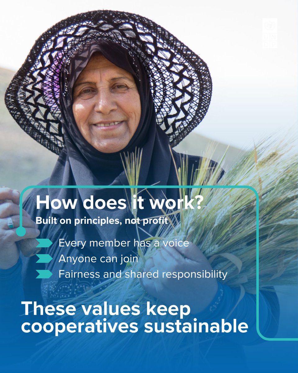 UNDP_Lebanon's tweet photo. Not charity. Not a company.

So what exactly is a cooperative?

This #CooperativesDay, swipe to discover how millions of people around the world are building businesses—and stronger communities—together.

🔗 https://t.co/FUN6Yqk1Pu

#CooperativesForAPeacefulWorld https://t.co/yqXpcAkky0