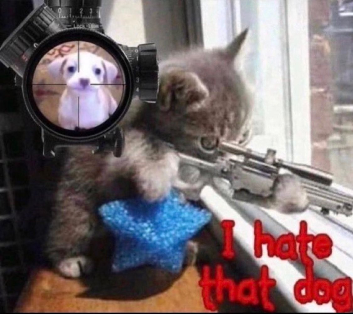 sadreturns's tweet photo. foids when you show any sign of liking them https://t.co/62sCurt27U