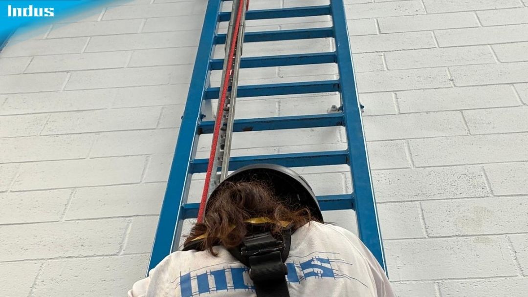indusiasl's tweet photo. Indus desarrolla un completo programa de formaciones como parte del crecimiento de nuestro equipo. https://t.co/yTtKaNw1Zk