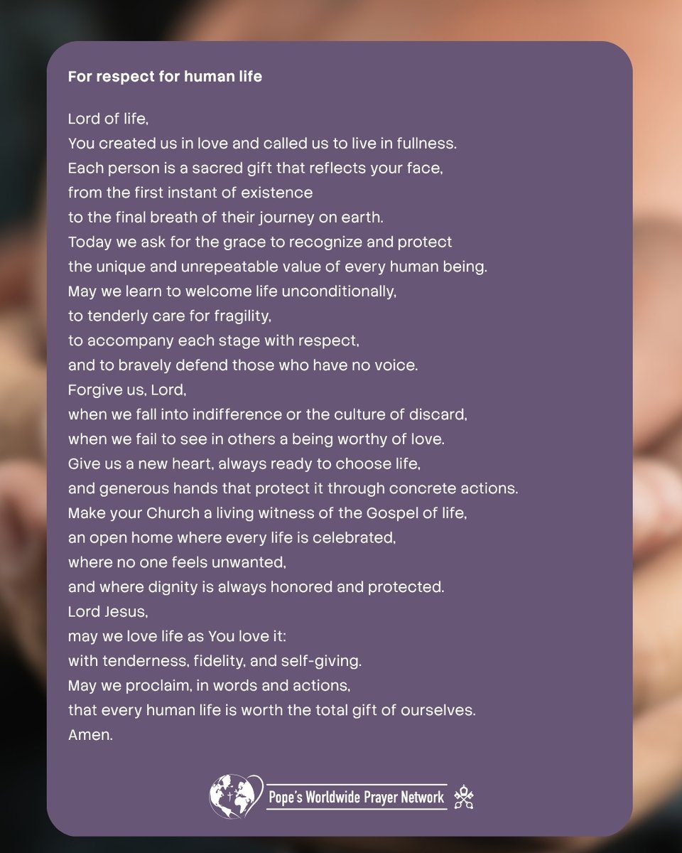 clicktopray_en's tweet photo. 🌍The Pope's Worldwide Prayer Network invites you to offer up your day and make you more available to the mission of compassion for the world.
In #ClickToPray we invite you to pray and share the prayer of this month.
👉https://t.co/fWM5qGhG38
#PopesPrayerApp #DeepenYourPrayer https://t.co/b5u1Zaha3A
