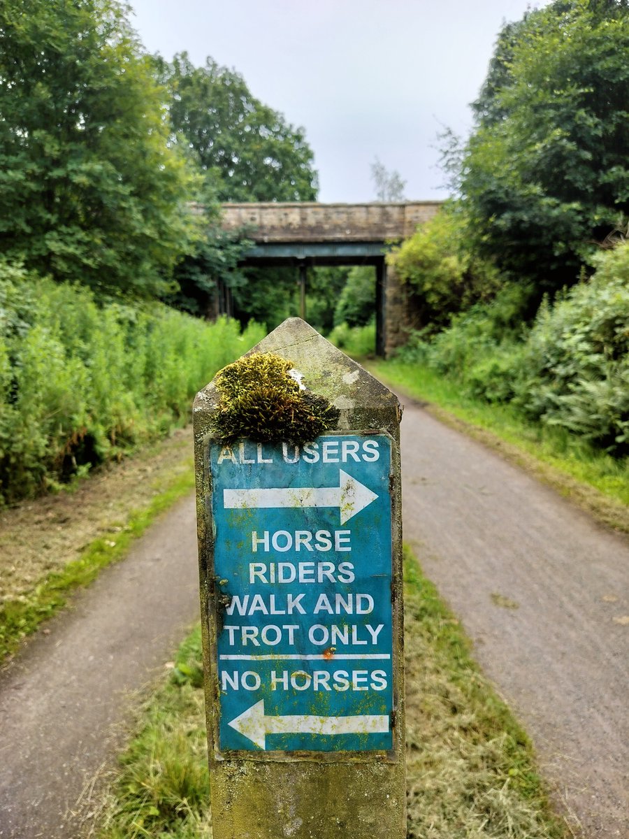 MillingtonSally's tweet photo. Morning 5km run
Exploring the trails at my folks - there are loads! Along the incline which was used for the pits back in the day, on Middlewood way where I rode my bike as a kid, and back past the old pump house.
Happy Saturday! 😀🏃♀️
#Poynton #Running https://t.co/b8UnlYSwcz