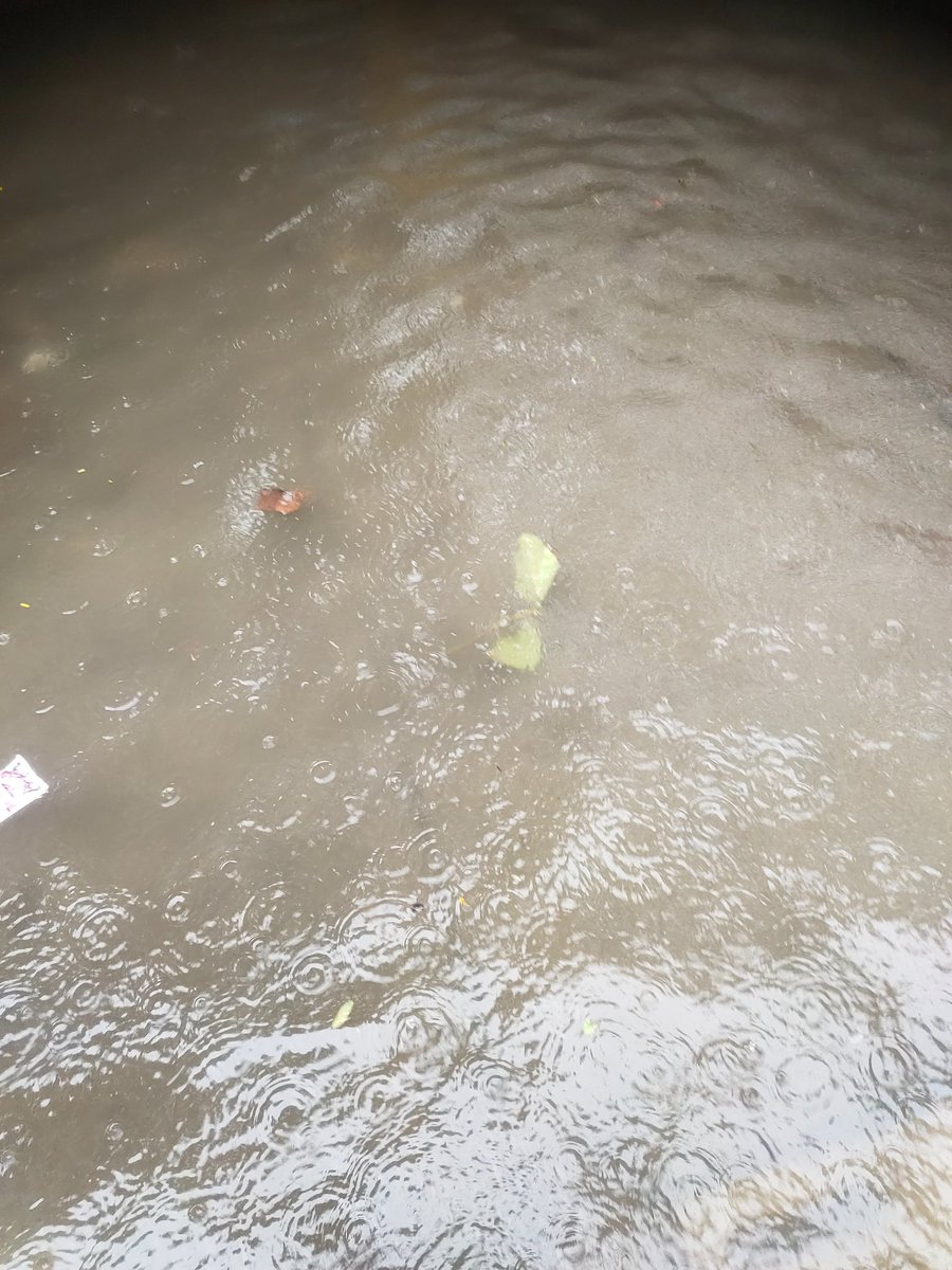 Nobody__247's tweet photo. Road flooded so bad bro it's up to my knees I think https://t.co/xB0zFxDCAB