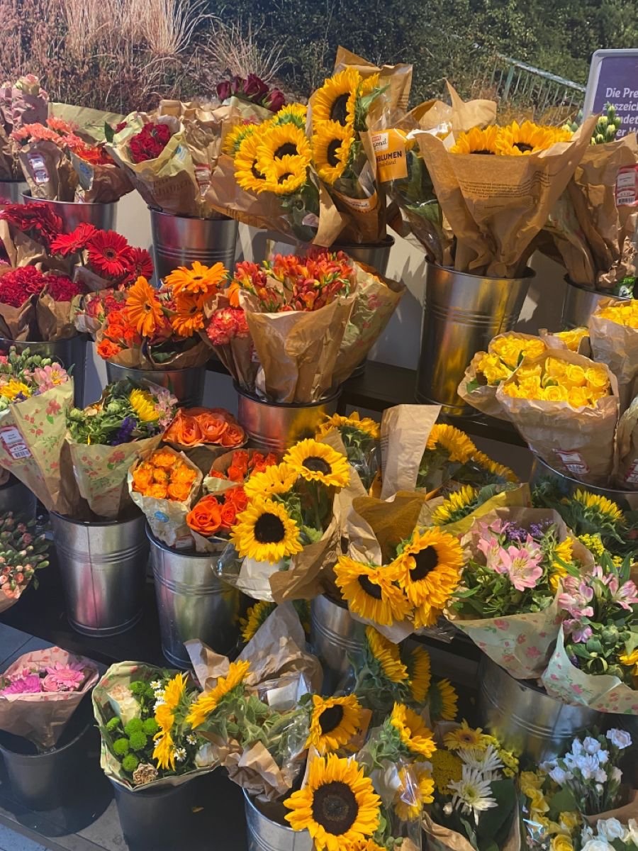 sunflowerchives's tweet photo. https://t.co/8nk44vMqEj