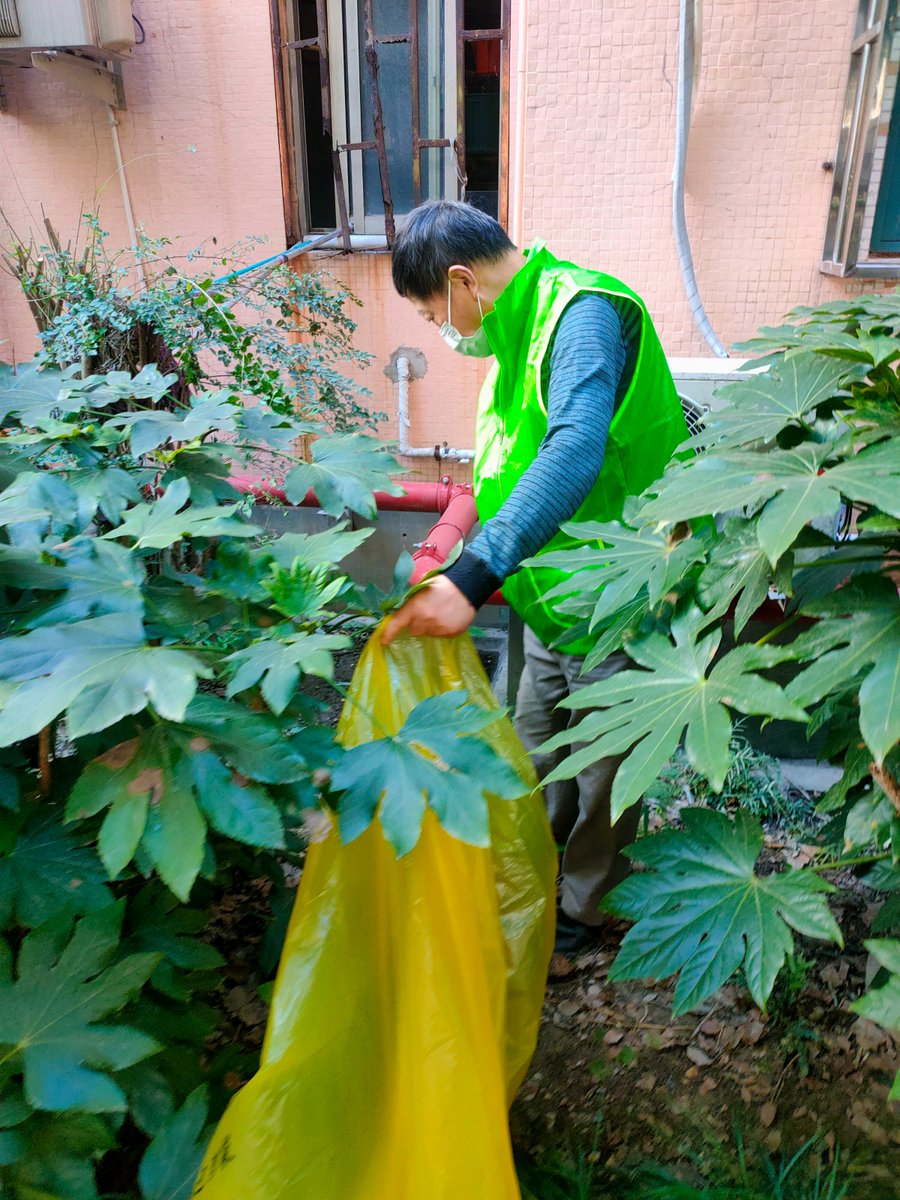 AzrourYoussef's tweet photo. Join our weekend community garden cleanup this Sat 9am! Bring gloves u0026 let’s spruce up our shared green space together https://t.co/wQyB6CFvjq