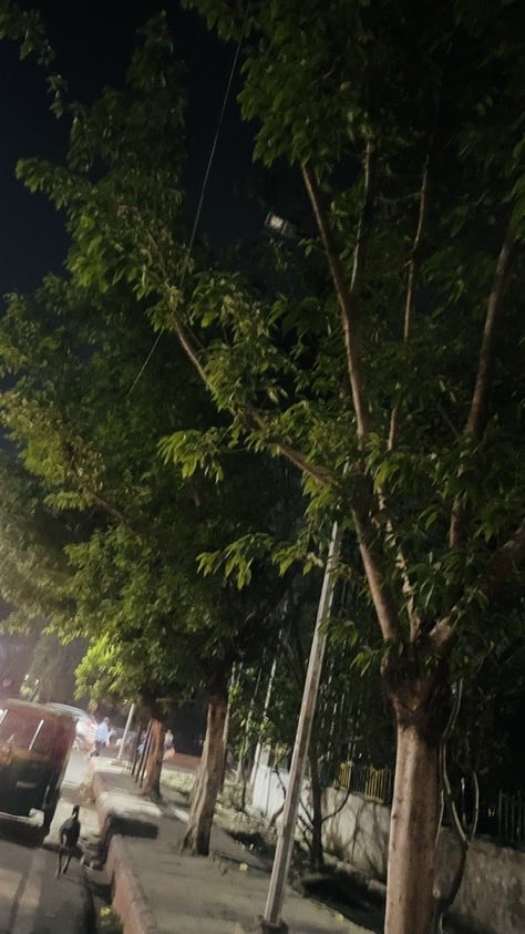 Noida24Noida's tweet photo. Street light not working on sector 46 noida road between a block and b block....near sector 46 police chowki...@noida_authority @CeoNoida @InduPrakashPCS 

Golgappa wala Near green avenue gate sector 46 Noida https://t.co/ey0Pn0IIrL