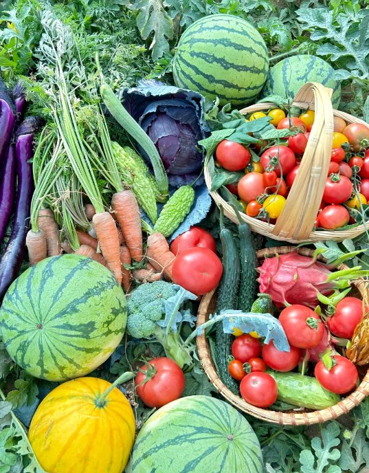 kaison614604's tweet photo. Fresh organic spinach u0026 cherry tomatoes restocked! Perfect for your weekend salad or pasta dish  Shop now for farm-fresh picks!， https://t.co/hI8s5MnCGM