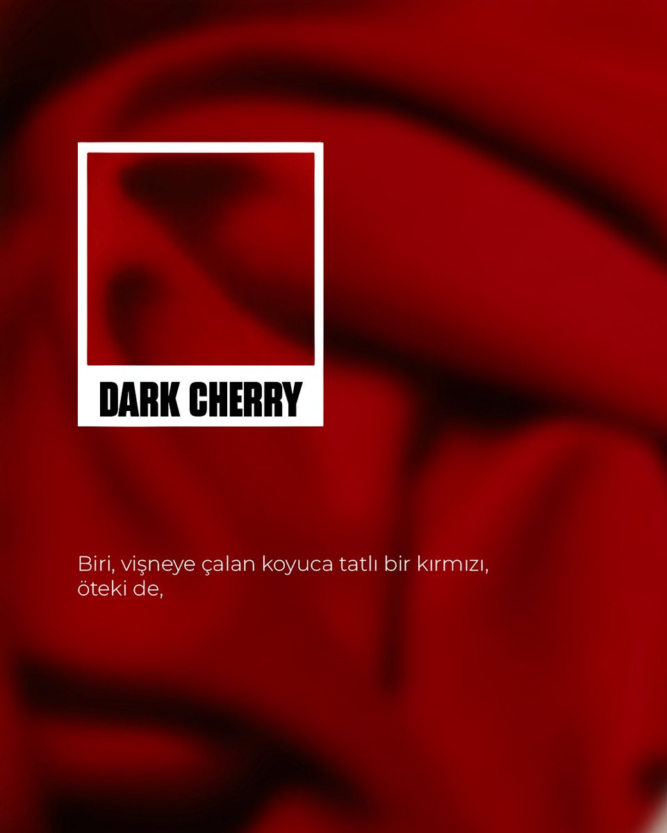 GSStore's tweet photo. “Biri, vişneye çalan koyuca tatlı bir kırmızı...
Öteki de, içinde turuncudan iz taşıyan tok bir sarı.”

Bir asrı aşan mirasın tarif edilen renkleri, bu sezon özündeki tonlarına yeniden kavuşuyor. 🙌

2026/2027 Galatasaray Puma Yeni Sezon Formaları GSStore’da taraftarlarını bekliyor. 🫶

📲 https://t.co/R6zb3Anq6l