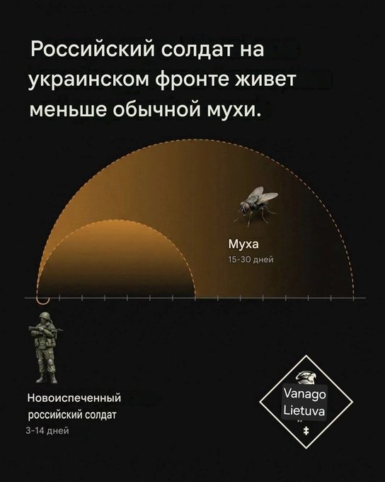 YuryLayman's tweet photo. https://t.co/EXr29mJP5O