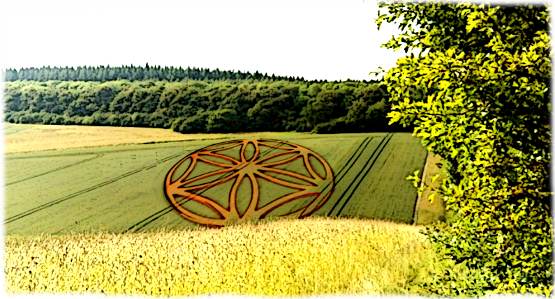 RealCitizenD's tweet photo. Interview with Beyond The Tinfoil Hat Podcast

#UFOSightings #ufoX #uap #paranormal #Supernatural #telepathy #psychic #uap #cropcircles #metaphysics #fortean #carljung #pagan #wicca

https://t.co/wsp46JXonT https://t.co/AU8O9ahSRr