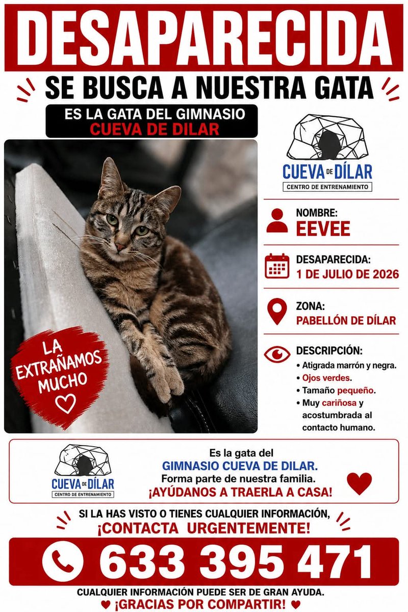 catadicta's tweet photo. ‼️GATA COMUNITARIA DESAPARECIDA EN DÍLAR‼️
🆘️ Nos piden ayuda en la difusión de este caso. 
INFORMACIÓN ADICIONAL, tiene microchip (a nombre de unos vecinos) y está esterilizada. 
Aprovechamos para informar de que es un delito sustraer gatos de colonia. https://t.co/6kPODdbKyN