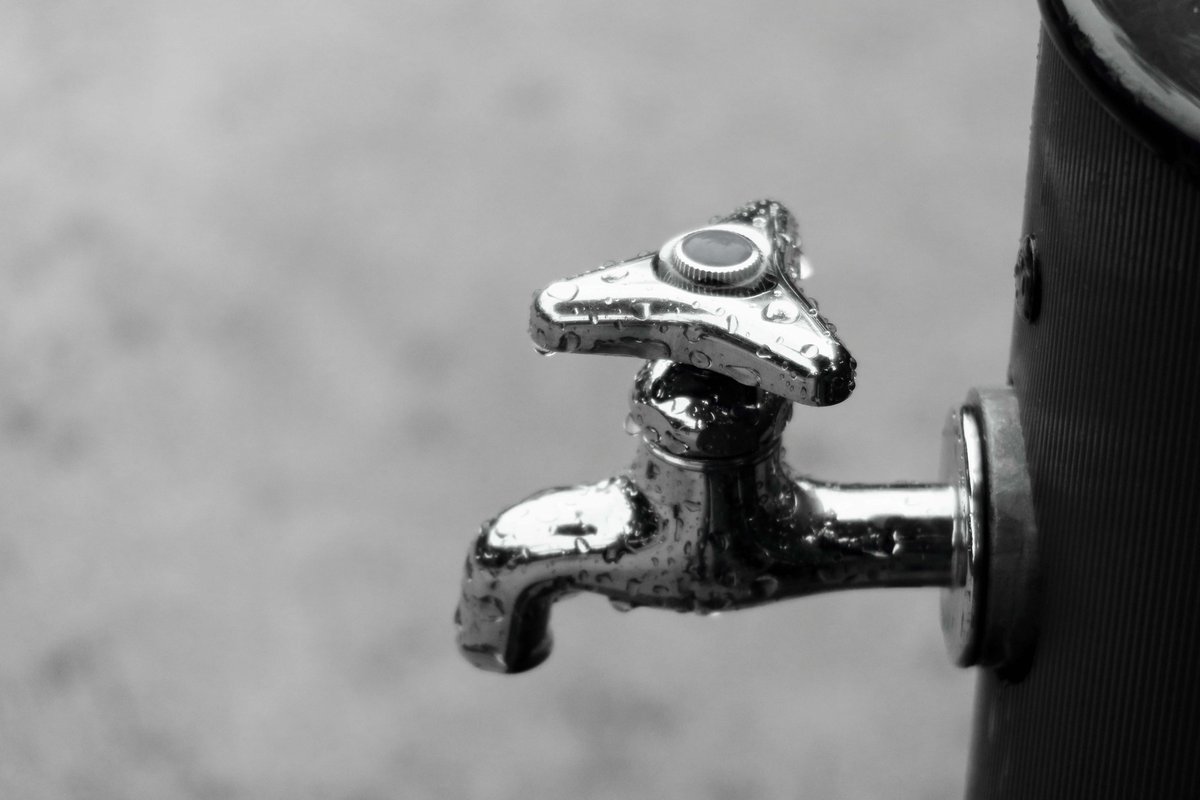 0419_okayan's tweet photo. 濡れパンダ
　静寂しみる
　　梅雨の空
　　　　　　　　　にっこる
#monochrome https://t.co/nmzGSd8XA4