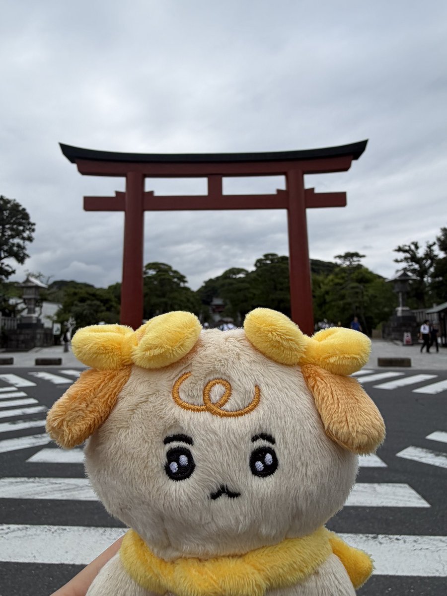 dknaco's tweet photo. あかちゃんゴシムがどぎょむさんに似てると思ってて大満足おともだちありがと🫶 https://t.co/TMlL5kW1XS