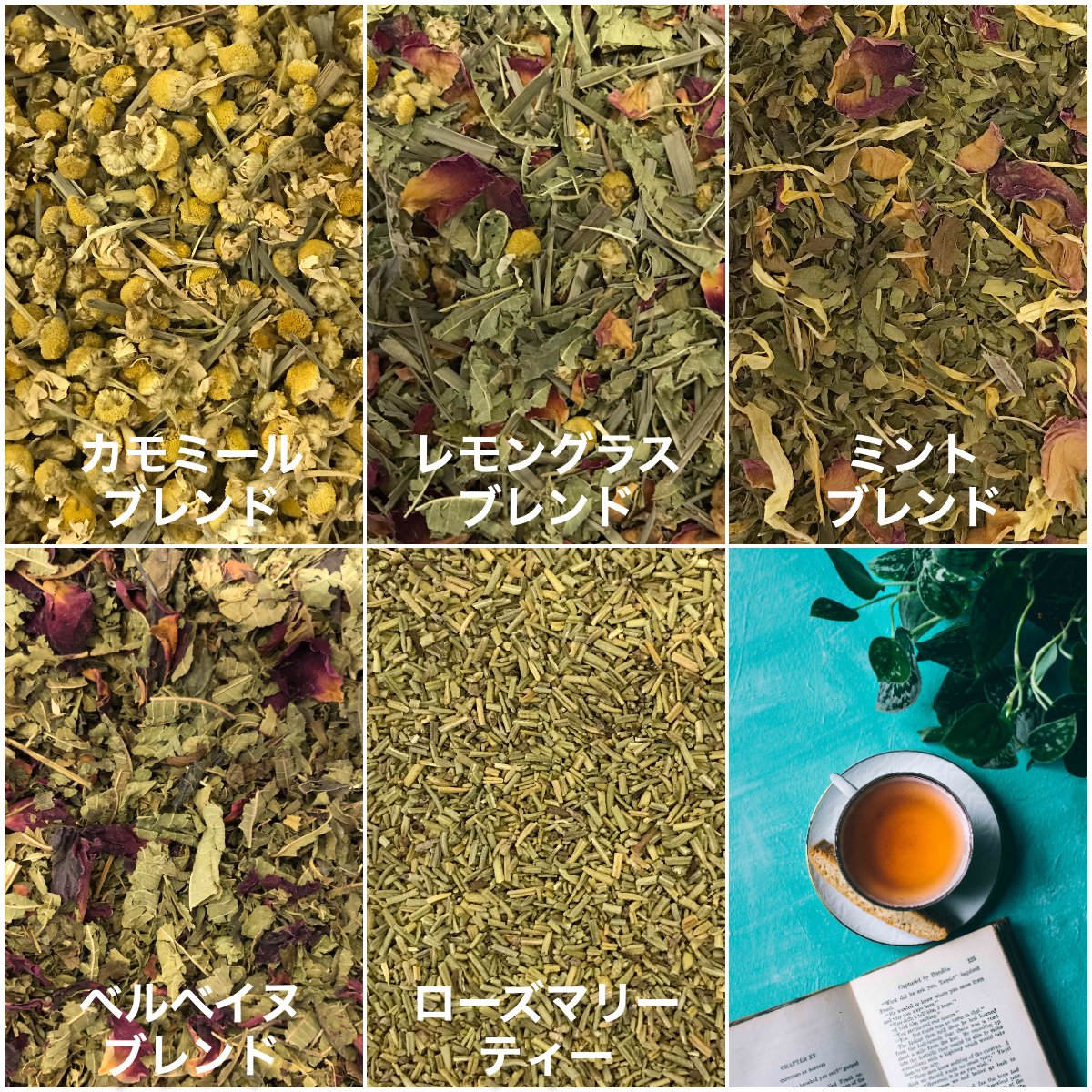 CafeKiitos's tweet photo. 日曜、本日もありがとうございました。只今の #キートスの裏メニュー 《白い雲のクリームソーダ》がよく出ました。今日はハーブティーのエコ割お買い求めのお客さんも。マイ缶・マイ袋等の持参で5%OFF。
さて夜はおうちでキートスの味を再現🩵下記リンクの通販も覗いてみて🛒
https://t.co/aRorUPd67v https://t.co/r0oL0x1JWd