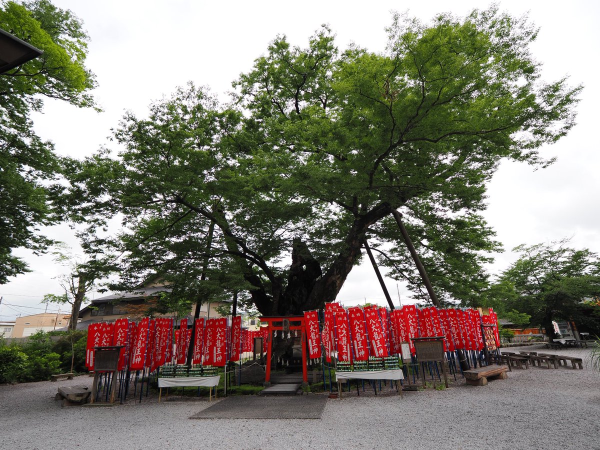 今日は早朝から出掛けて秩父にある今宮神社に行ってきました