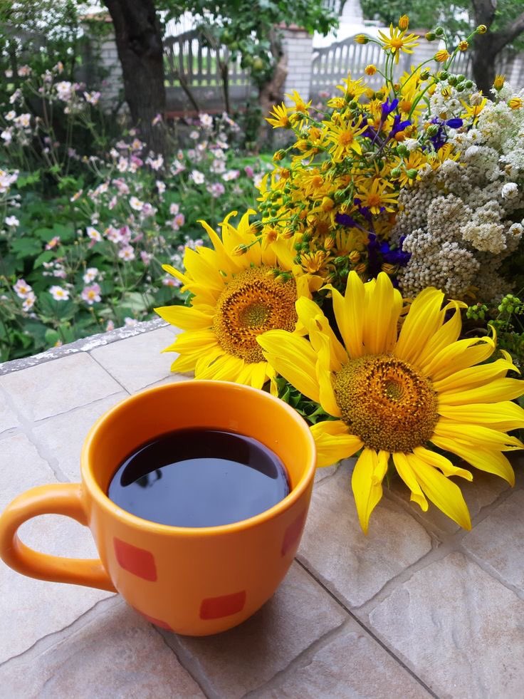 Sweet_Cat222's tweet photo. GÜ N A Y D I N ☀️
#Mutlu hafta sonları ☕️🌻🌿🐞🪻 https://t.co/TKxDSKaKB8