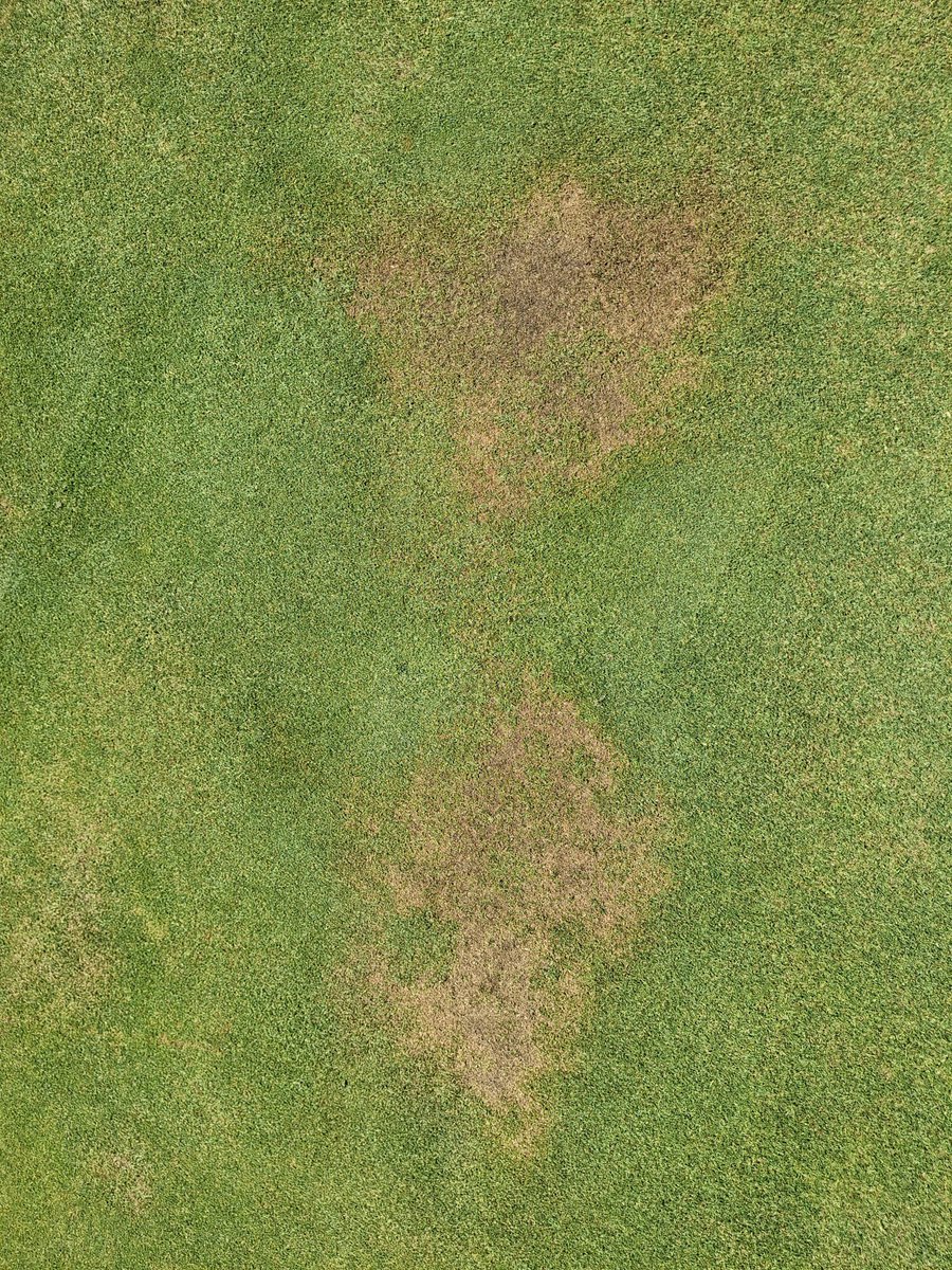 GolfGeek6's tweet photo. A tough June, for so many reasons. 

Don’t struggle alone. So many wonderful professionals in our Turf industry — Reach out and seek professional advice before the issues arise. Reactive treatments take time.

There is always something you can do - without breaking the bank. https://t.co/u8Xmm7SgRA