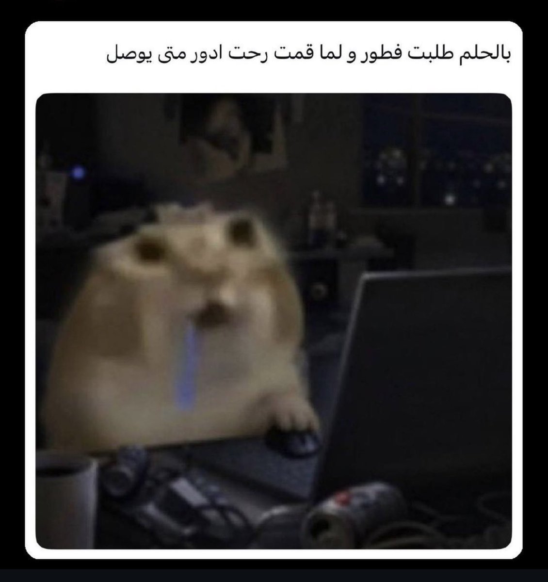 dxxaa99's tweet photo. هذي سوالفي 😂😂😂😂😂 https://t.co/OJ88jVH4x7
