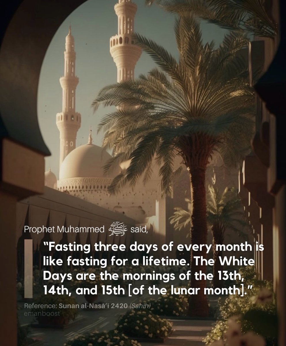 7signxx's tweet photo. The Messenger of Allah ﷺ said: https://t.co/iCqrm2dgQ7