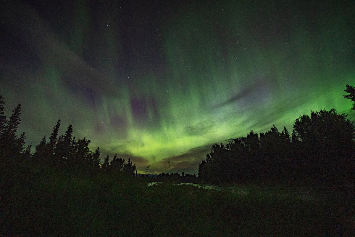 LeonKauffman's tweet photo. God blessing America with some early morning 4th of July aurora borealis https://t.co/T56tHvpT3y