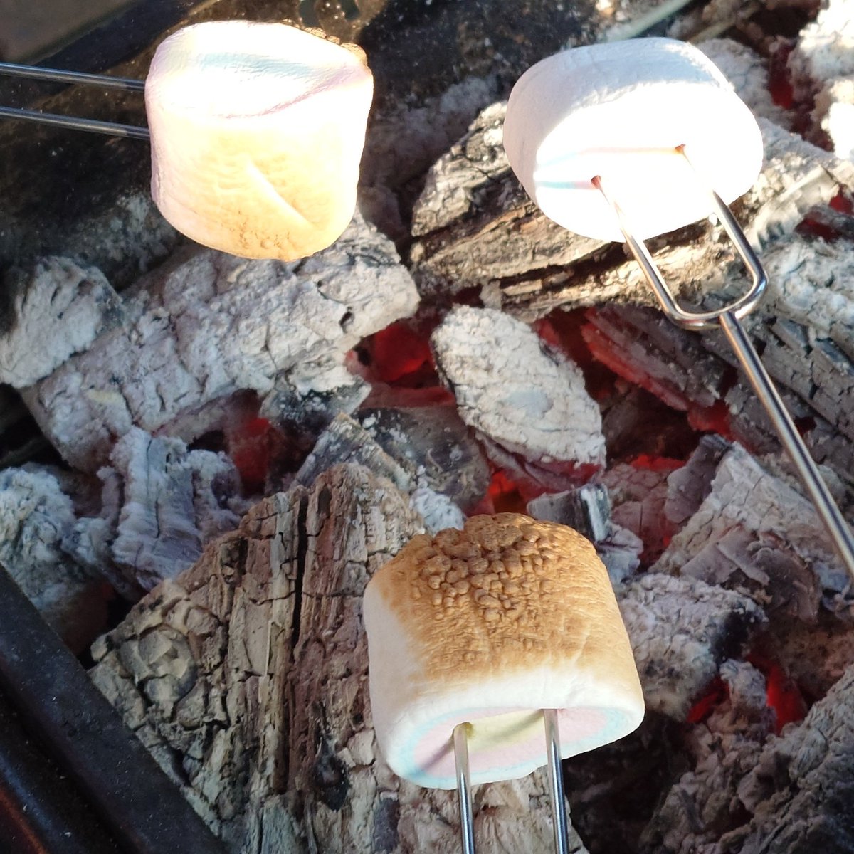 ddy5310's tweet photo. 〆の焼きマシュマロ

2枚目の私、天才かもしれない…… https://t.co/SnjECJIA8N