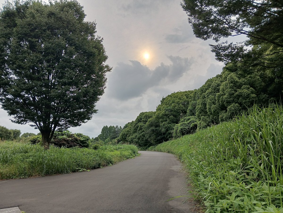 ark_to69's tweet photo. 16キロ・ウォーキング運動完了✌️
明日、池袋CHOPで僕らと握手🫴
出番20:45 
6バンド目
チケット予約👇
 https://t.co/hywZp0ofDd https://t.co/N63pOKL6zv