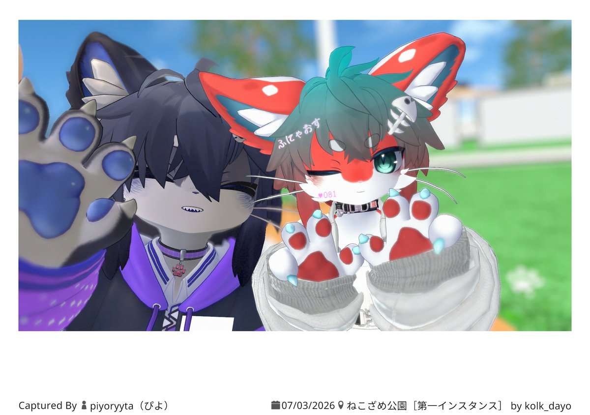 0xff_ffff's tweet photo. ねこざめ公園初めて行ったけどたのしかった！また行きたい！！#ねこざめ公園 https://t.co/4D1gngjlz7