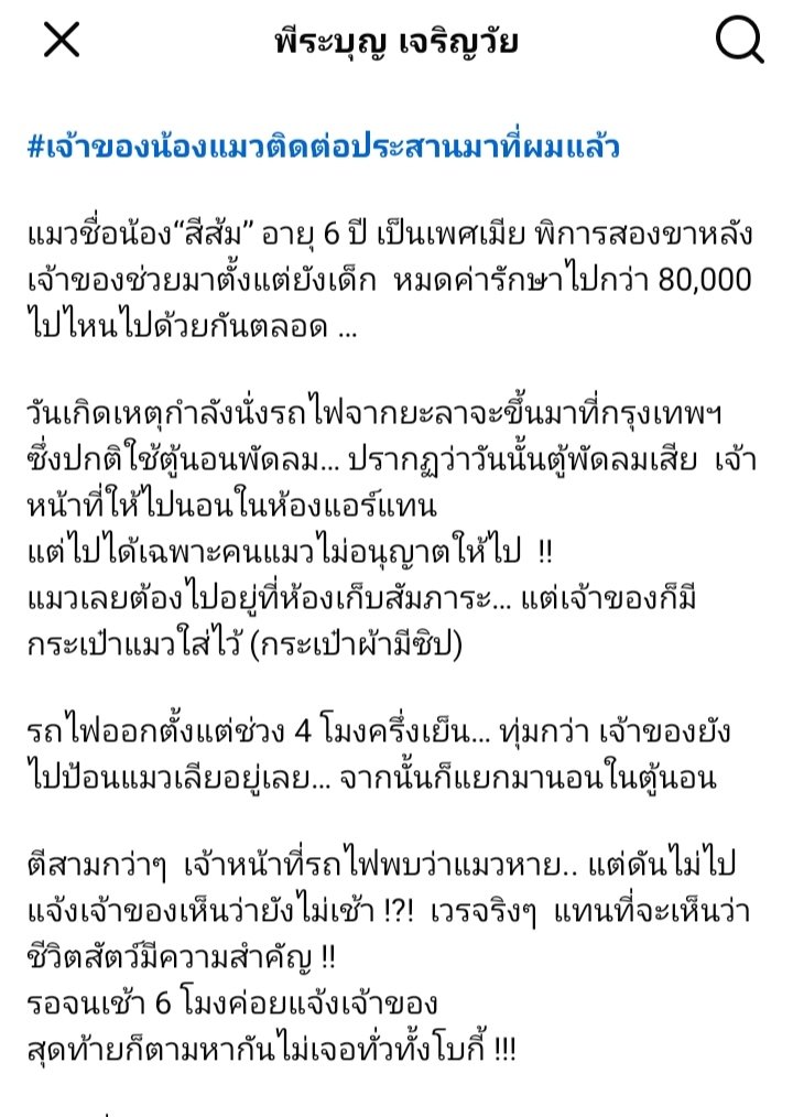 JaeJay_1's tweet photo. อัพเดท ขอให้เจอน้องและขอให้ใช่น้องนะคะ 🙏‼️

#แมวหายบนรถไฟ #แมวหาย https://t.co/i5Zyk8aevy