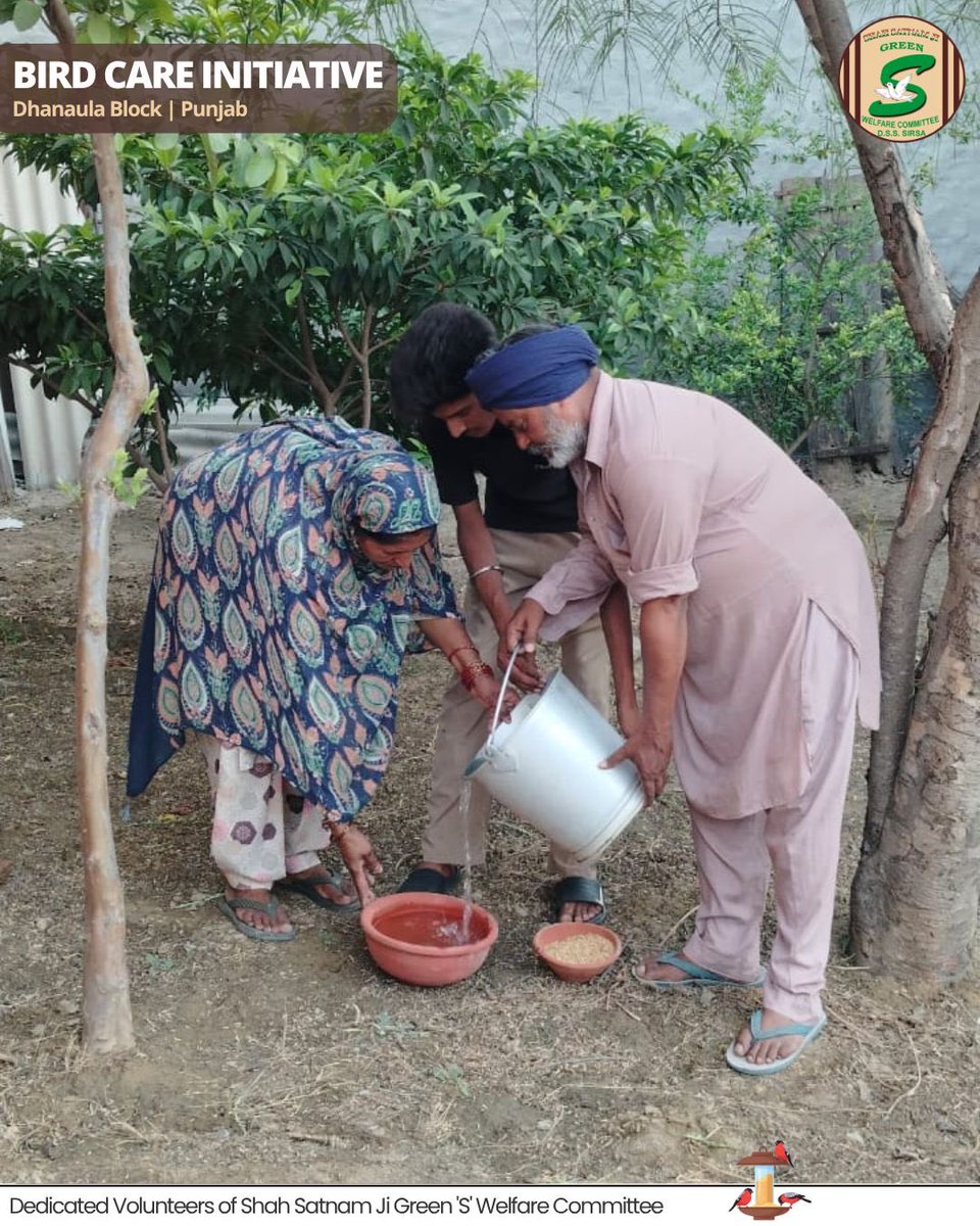 GreenSwelfares's tweet photo. Kindness becomes even more beautiful when it is shared with every living being. 

The compassionate volunteers of Dhanaula Block placed clay pots filled with water and feed on trees, on their rooftops, and in nearby parks so that thirsty birds can find relief from the scorching summer heat.

A small bowl of water💧may seem little to us, but for a tiny bird, it can be a gift of life. Let’s make our surroundings a little kinder for our feathered friends. 

[Bird Care, Nurturing Birds, Summer Relief, Save Birds, Nature Care]
