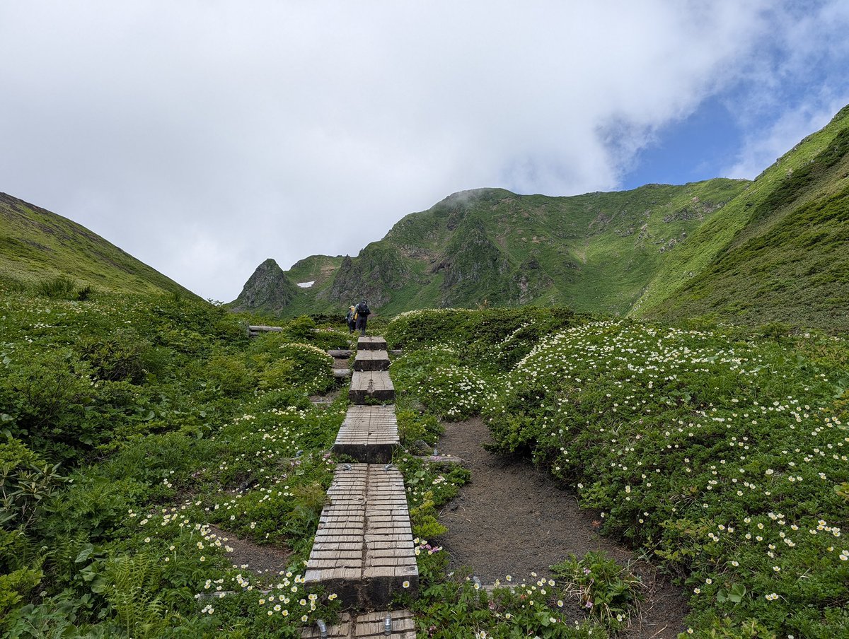テン泊気分 tweet media