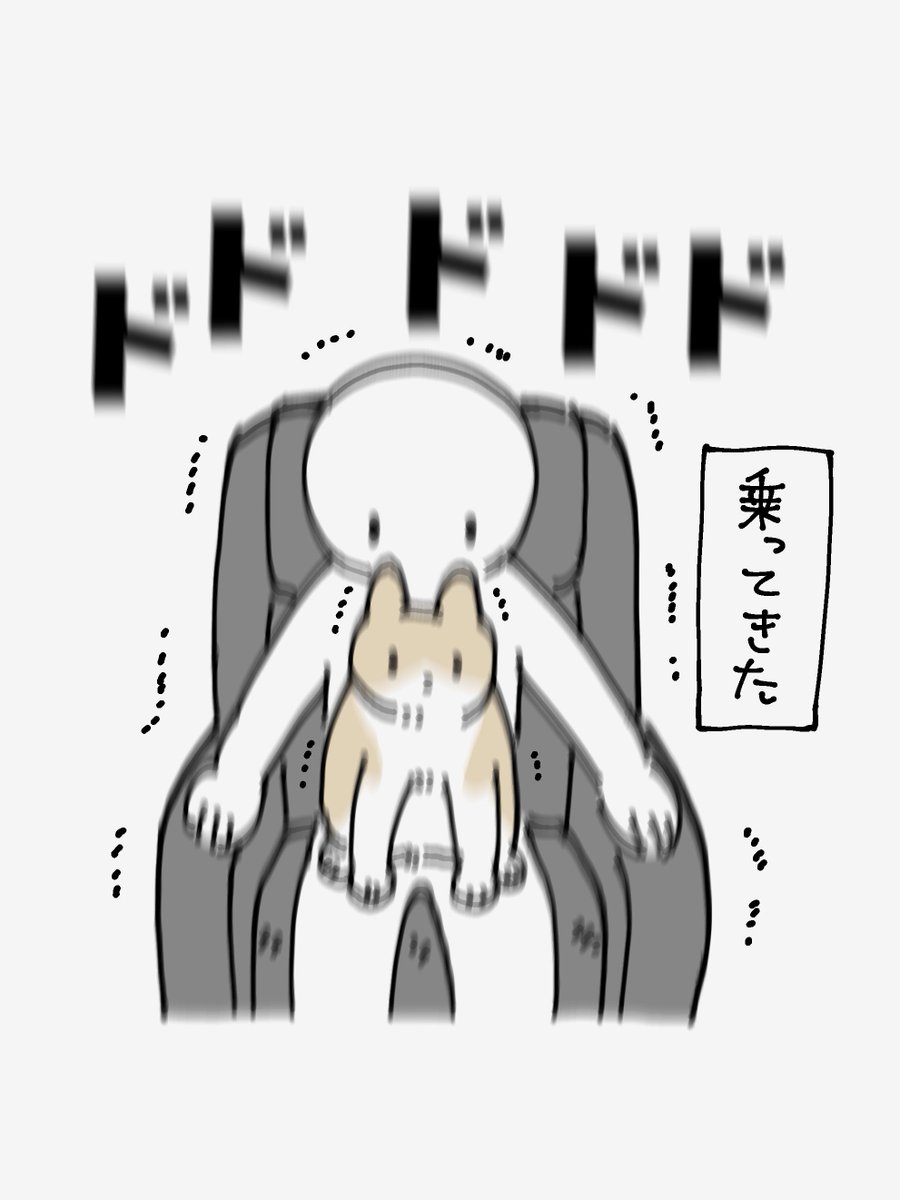 bou128's tweet photo. このあと、ちょっと！揺れないでよ！って感じで腕を甘噛みされて叱られました　理不尽でかわいい https://t.co/xx1Mo6Ky9V