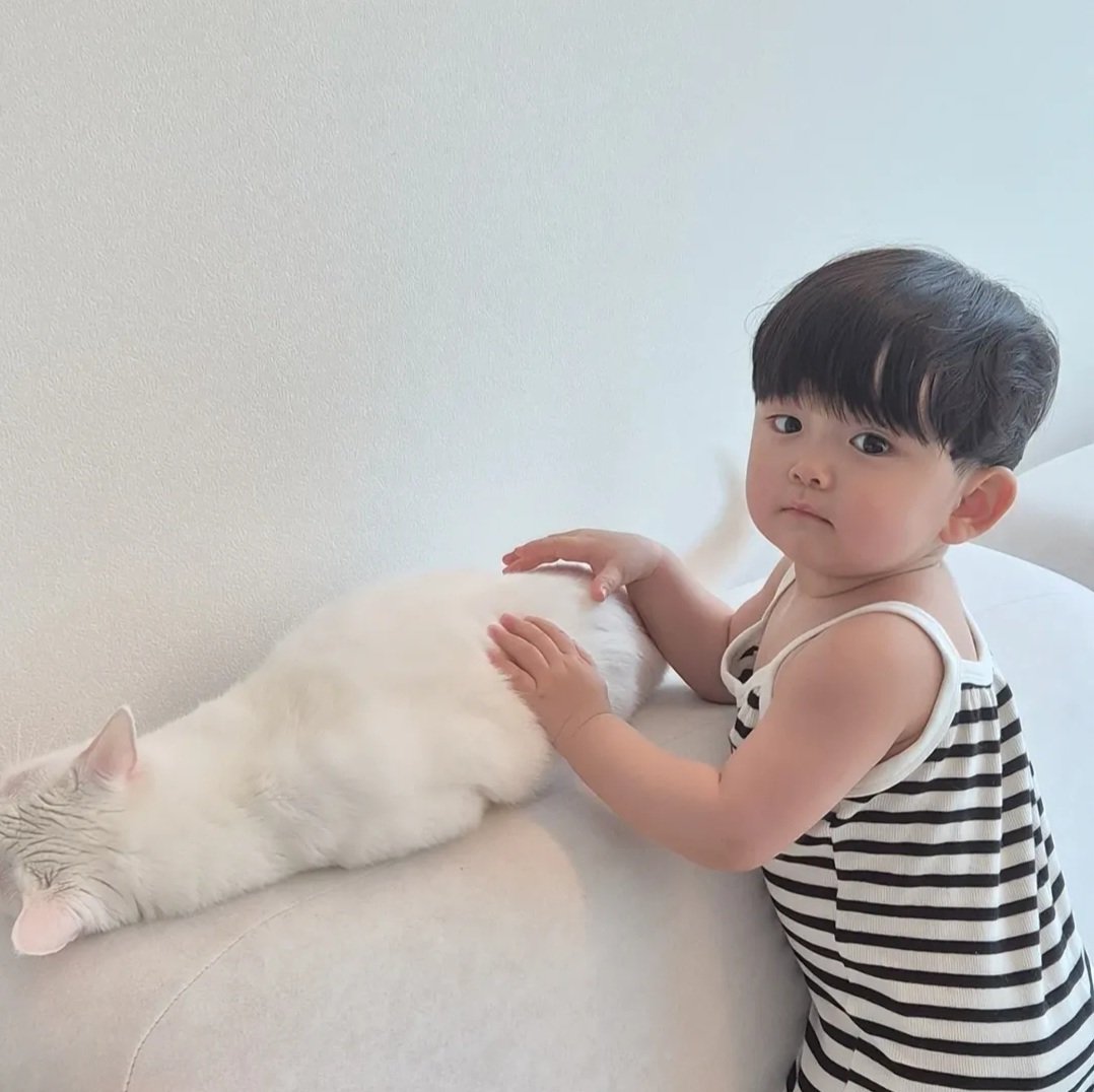 YeoulFox's tweet photo. เพิ่งรู้ว่าที่บ้านน้อนมีแมวด้วย อยู่บ้านเป็นคนวอแวแมว มาถ่ายรายการโดนแมววอแวอาจจะไม่ชิน 😔 https://t.co/USHrxMSvpH