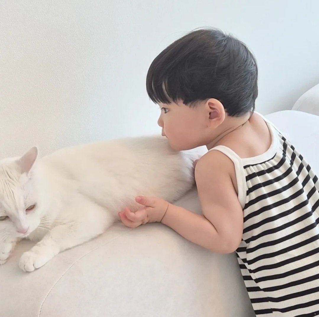 YeoulFox's tweet photo. เพิ่งรู้ว่าที่บ้านน้อนมีแมวด้วย อยู่บ้านเป็นคนวอแวแมว มาถ่ายรายการโดนแมววอแวอาจจะไม่ชิน 😔 https://t.co/USHrxMSvpH