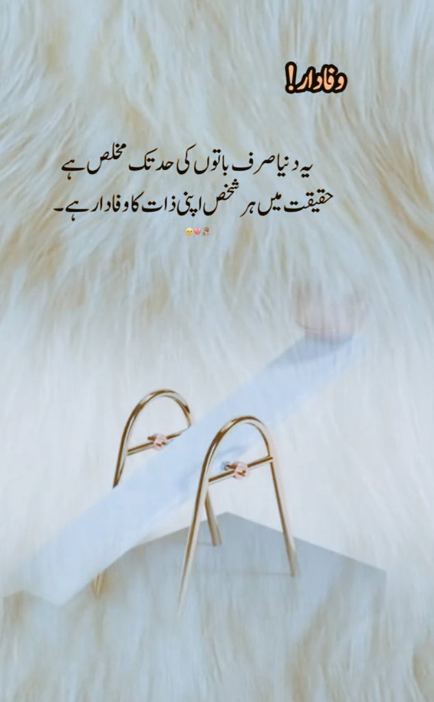 Muhammad15879's tweet photo. یہ دنیا صرف باتو�� کی حد تک مخلص یے حقیقت میں ہر شخص اپنی زات کا وفادار ہے https://t.co/9Fy70nwD88