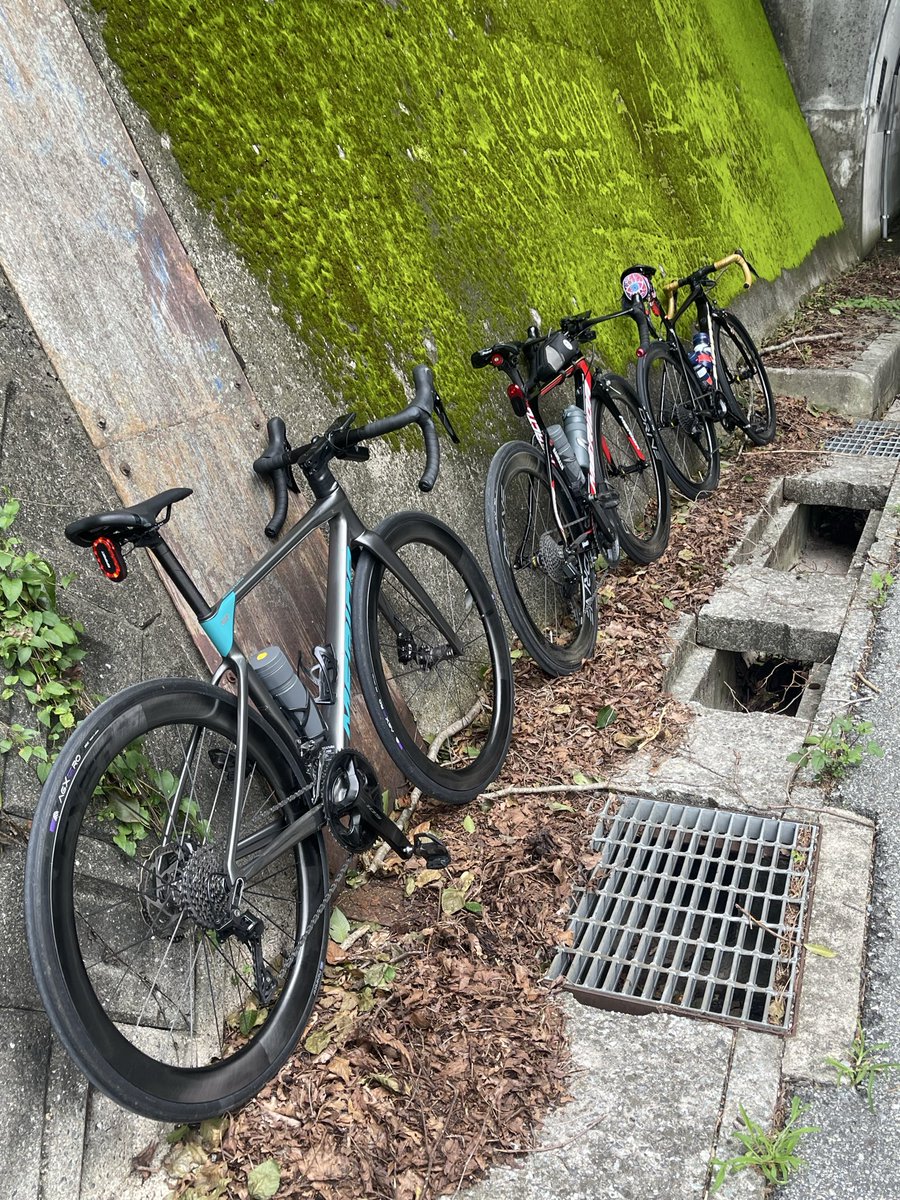 chara062's tweet photo. 朝練で1000mアップ！最後は意地の1本🔥

4時半起床。

本日は#8のチームメイトと朝練。

6時半に生瀬駅集合でしたが、朝から調子が良く、約1時間で集合場所に到着。

仲間と合流して、まずは蓬莱峡アタック！

本日はメリダの平坦仕様で参加。さすがにアウター縛りで登り切る脚力はまだないので、斜度のきつい区間はインナー、緩んだところはアウターに入れてスピードを乗せる作戦で走りました。

雨雲が近づいてきていたので、そのまま解散かなと思っていましたが、下ってくると意外にも天気は問題なし。

「もう1本行ける！」

ということで、そのまま十万辻アタックスタート。

スタート直後の激坂は意地でアウターのままクリア！

その代償は大きく、スタミナをほぼ使い切りました😭

そこからはインナーに切り替え、ひたすら耐える展開。

チームメイトには先行されましたが、ゴール前で背中が見えてきたので、「あと少し！」と最後まで踏み切ることができました。

ここでチームメイトとはお別れ。

そのまま帰宅…の予定でしたが、サイコンを見ると「あと少しで獲得標高1000mアップ」。

これは帰れません（笑）

家の前を通過して、わざわざ坂を下り、もう一度登ることに。

こんな理由で追加の坂を登ったのは初めての経験でした😂

無事に1000mアップを達成して、本日の朝練終了！

#MARIDA #REACTO #ELITEWHEELS #Drive #65v #WheelTop #EDS #AGILEST #AGXERO #サイクリング #ロードバイク #ダイエット #筋トレ #ボディーメイク #減量 #美容 #健康 #朝活 #朝練