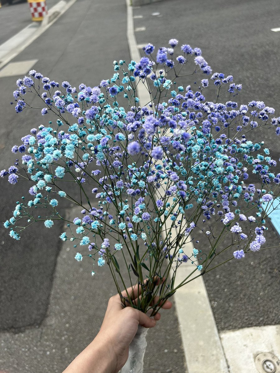 1964Yupi's tweet photo. 皆様ご無沙汰しております🙇‍♀️
いかがお過ごしでしょうか？

私は色々と駆けずり回ったり落ち込んだり色々ありましたが元気にやっております！

もう7月🌱
そして今日は母上の6年目の命日。
あれから6年。まだ忘れられない。
大好きな母上にカスミソウを添えて https://t.co/BbhiIZiXDD