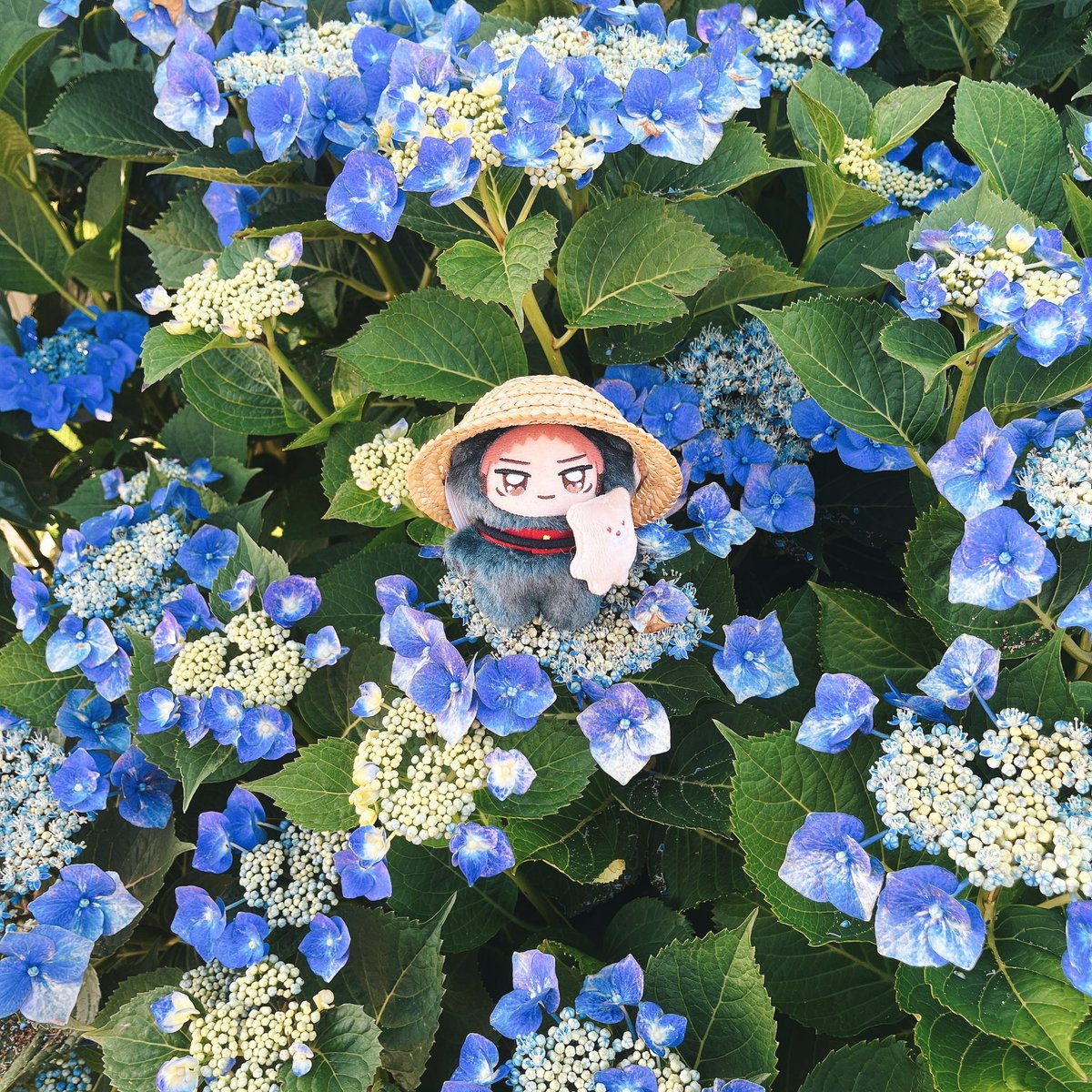 4dm93's tweet photo. おにわさんぽ🍅🎃🫑🌸 https://t.co/25gnWNQ2lE