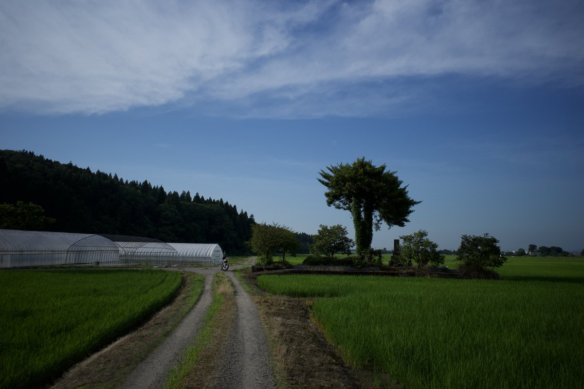 GRnerf_yuu's tweet photo. 田舎でしか表現できない光景 https://t.co/2J4urOhxQA