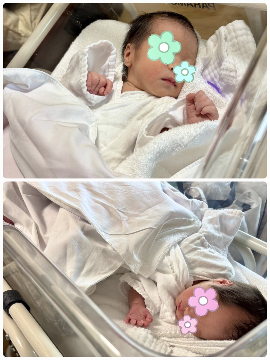 arits110's tweet photo. 2026.7.3 𝐍𝐞𝐰𝐛𝐨𝐫𝐧

第2子、第3子となる男の子と女の子のツインズベビーが生まれてきてくれました👶💓👶
母子ともに元気です。
これからどんな賑やかな生活になるのか…不安もありつつとっても楽しみ♪ https://t.co/S1Y8PPICIi