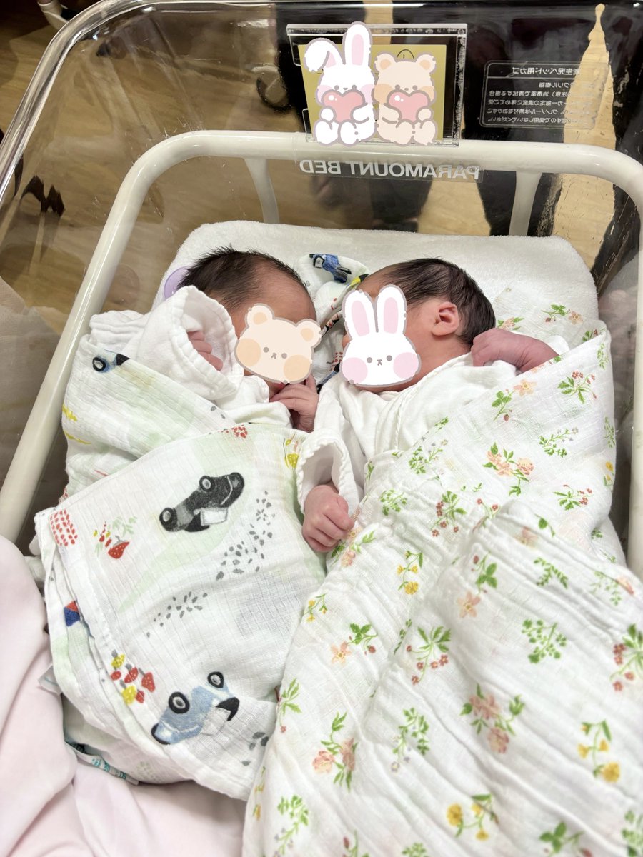 arits110's tweet photo. 2026.7.3 𝐍𝐞𝐰𝐛𝐨𝐫𝐧

第2子、第3子となる男の子と女の子のツインズベビーが生まれてきてくれました👶💓👶
母子ともに元気です。
これからどんな賑やかな生活になるのか…不安もありつつとっても楽しみ♪ https://t.co/S1Y8PPICIi