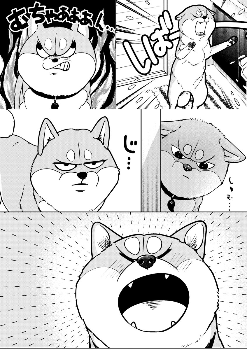 OomoriEs's tweet photo. 参考になりそうな顔集はっておきますね🐶 https://t.co/4pEL8rxeJ6