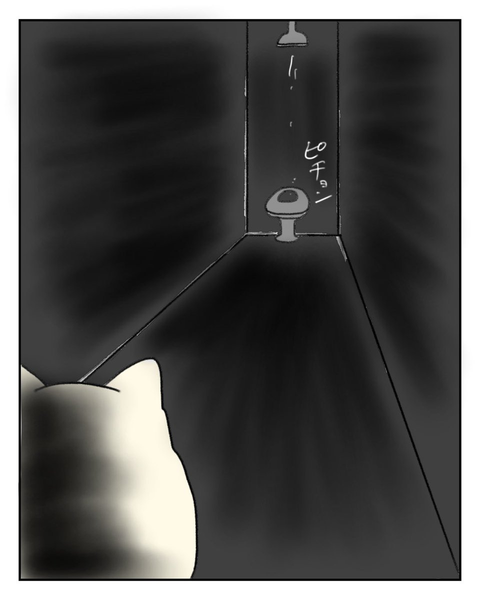 (7/7) 