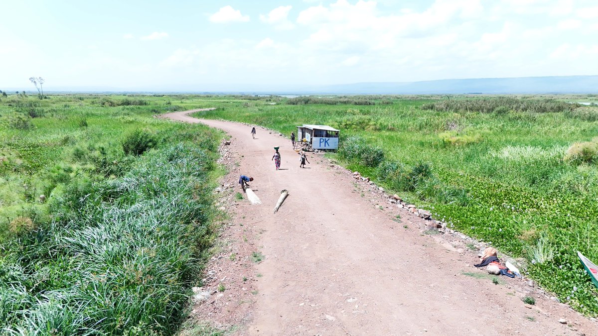 jdonmax's tweet photo. For years, cries of "Sirikal saidia!" defined life in Kano Plains whenever floods from River Nyando and Lake Victoria destroyed homes, farms and livelihoods.

Today, hope is taking shape through the West Kano Kanyagwal Flood Control Project in Kadibo, Kisumu County. https://t.co/D9MpWChGx2