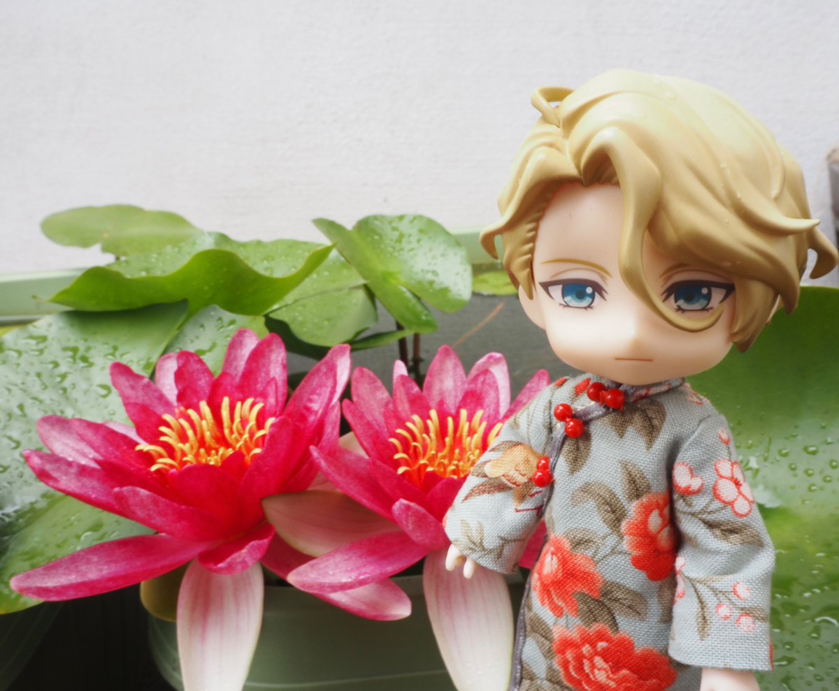 _saza73_'s tweet photo. 綺麗に咲きましたね🪷🪷
仲良く寄り添って…まるでわたくしたちのようですね、せいぎ😌✨ https://t.co/YmVg2G0CxG