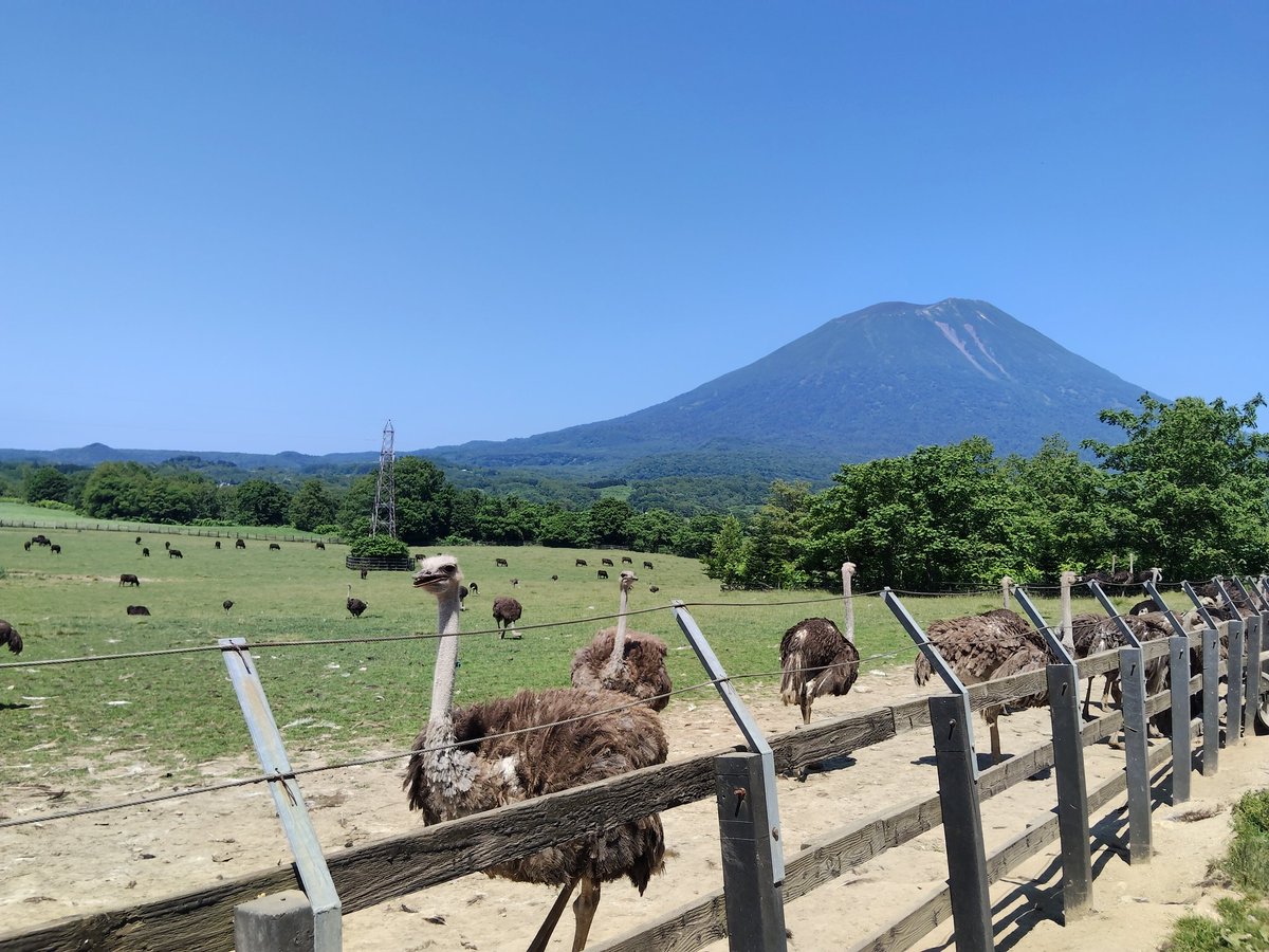 _kuma_neko's tweet photo. キタック三 っ´・ω・)っ
350kmは丁度良いですね https://t.co/YMN6resxgj