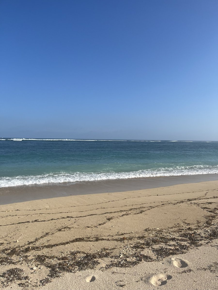 withdalkkum's tweet photo. Counting down the days before my internship ends… 🥺🫶🏻
Time really flies. I miss home so much, but saying goodbye to this place is harder than I expected.
Thank you, Bali.
Thank you to my internship place and everyone who became part of my journey here … 🥹🩷 https://t.co/ZYlMnKKmql