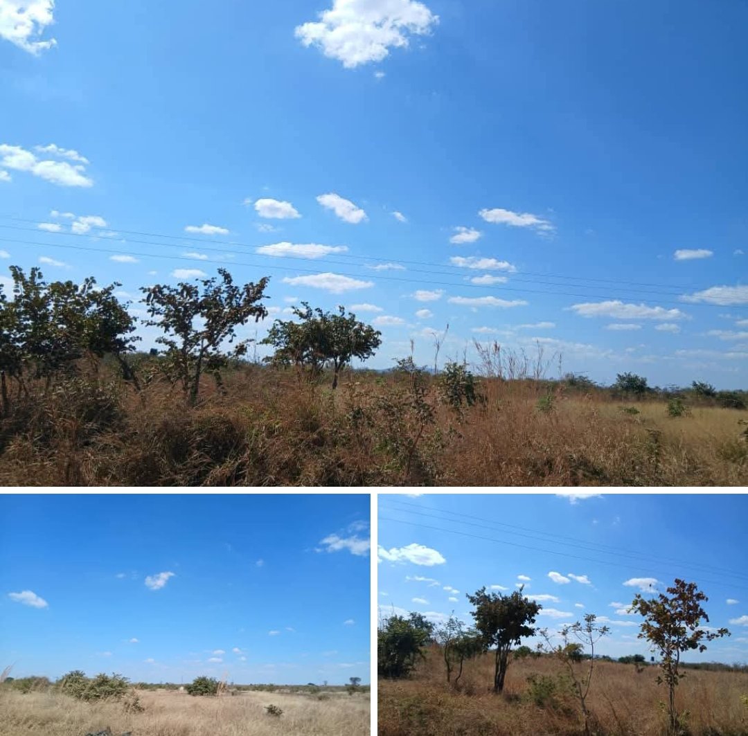 central_estates's tweet photo. 5 Acres Land for Sale in Chibombo Zambia. 
- CBD Area Area. 
- 500 Meters from Great North Road.
- Good access Road.
Price: K35,000

Central Estates Zambia
Call: +260979713351
WhatsApp: +260962563356 
Email: info@centralestates.org 
Website: https://t.co/CKfkFFVQVB https://t.co/4Xg91Oj9L5