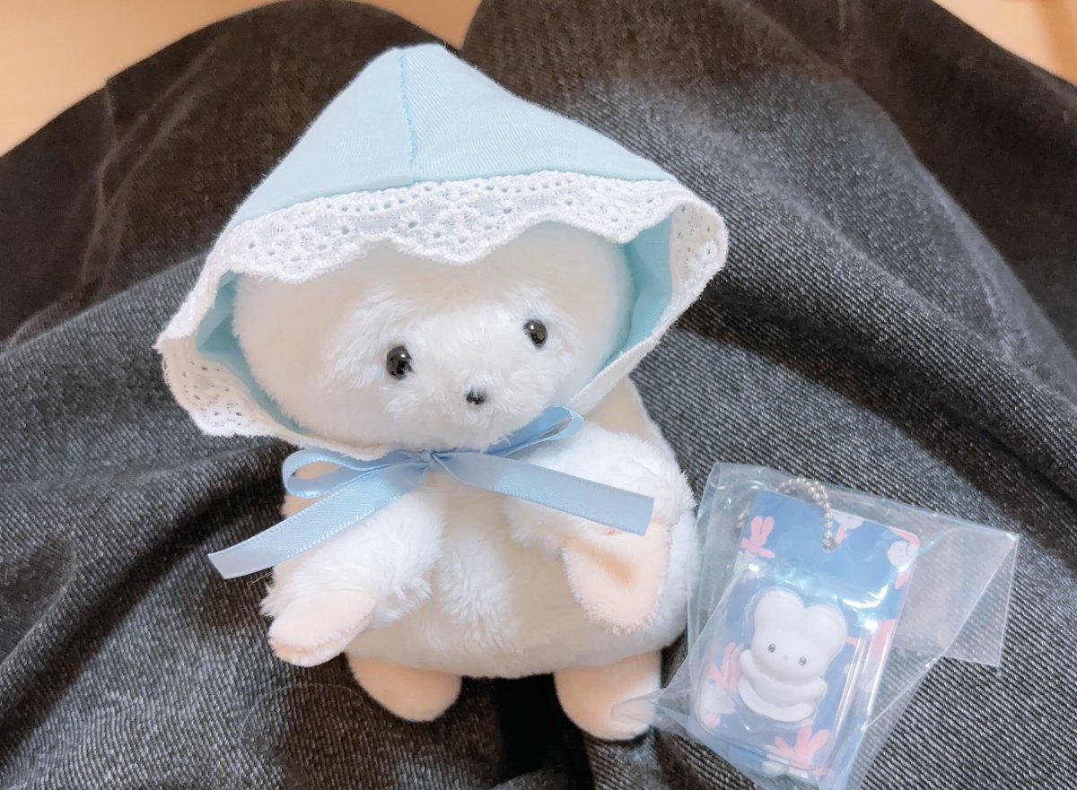 Osatou_roomQ's tweet photo. しーちゃんとおでかけして、しりみみちゃんをげっとしてきたよ〜🐰ིྀ🐰ིྀ♡ https://t.co/XufuXb5R8z